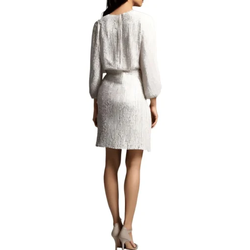 Sequined Stretch Fit & Flare Dress